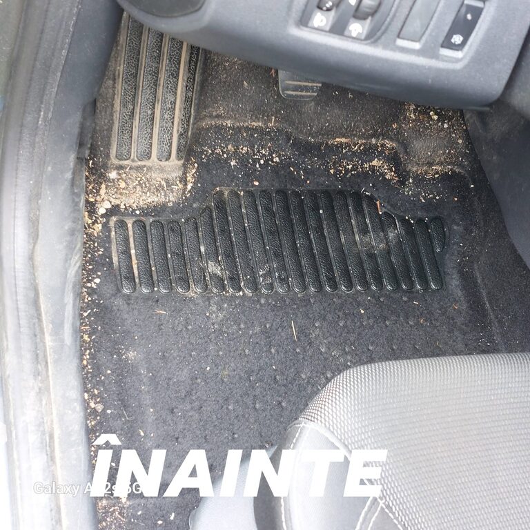 Mocheta auto murdara inainte de curatare interior in Iasi